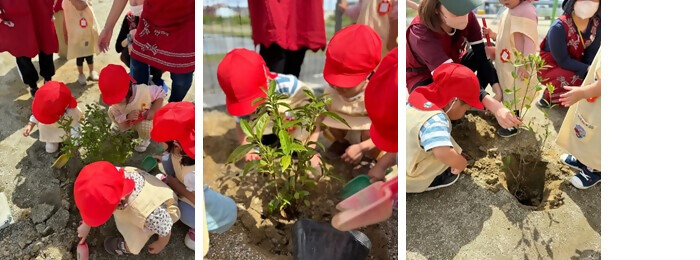 植樹の写真(社会福祉法人福寿会 あおぞらこどもえん)