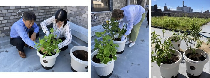 植樹の写真(戸田建設株式会社名古屋支店)