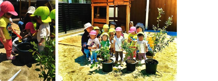 写真:植樹の様子(五反田幼稚園)