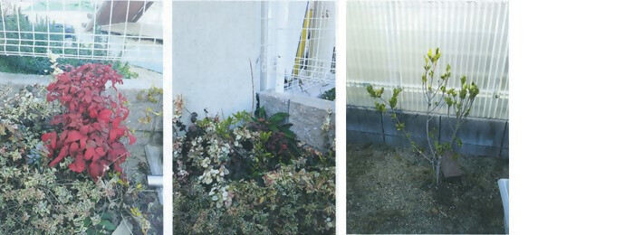 写真:植樹の様子(社会福祉法人東白壁保育園)