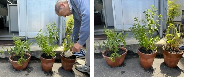 写真:植樹の様子(旭産業有限会社)