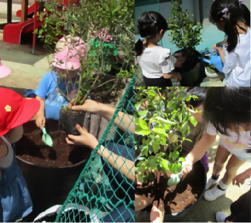 植樹の写真(社会福祉法人名古屋厚生会名古屋厚生会館第一保育園)