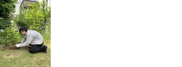 植樹の写真(株式会社竹中工務店名古屋支店)