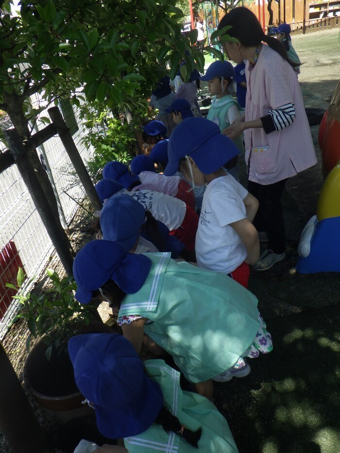 植樹の写真(名古屋植田ヶ丘こども園)