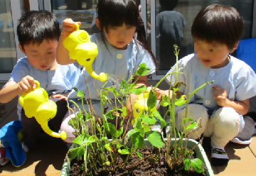 写真:植樹の様子(天白いくみ保育園)