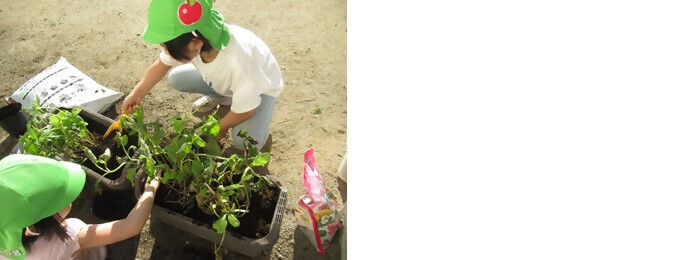 植樹の写真(ニチイキッズ元鳴尾保育園)
