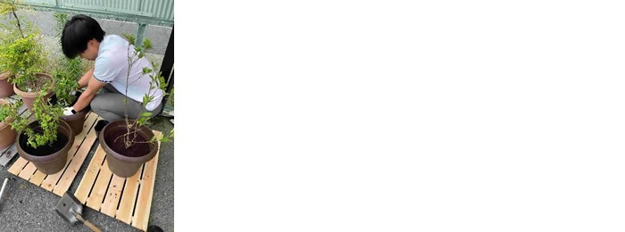 植樹の写真(中日コプロ株式会社)