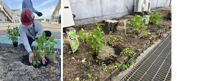 植樹の写真(株式会社アビヅ)