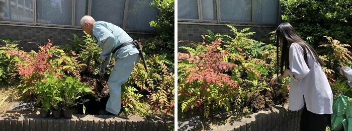 写真:植樹の様子(株式会社アクアス)