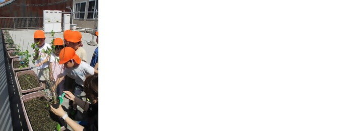 写真:植樹の様子(松原ひまわり保育園)