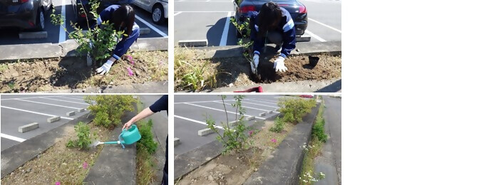 植樹の写真(公益財団法人名古屋市教育スポーツ協会 名古屋市富田北プール)