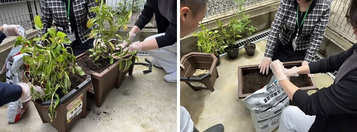 植樹の写真(株式会社佐野塗工店)