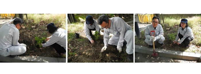 写真:植樹の様子(中外テクノス株式会社)