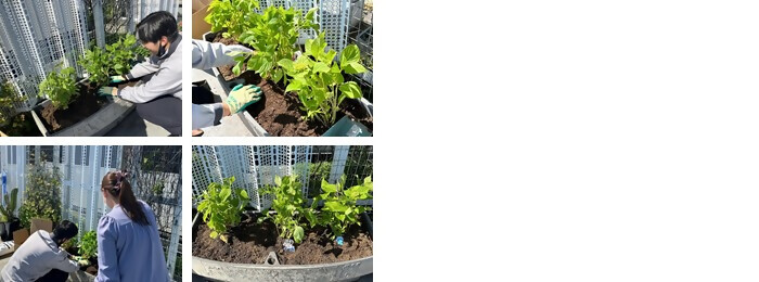 写真:植樹の様子(株式会社山田商会)