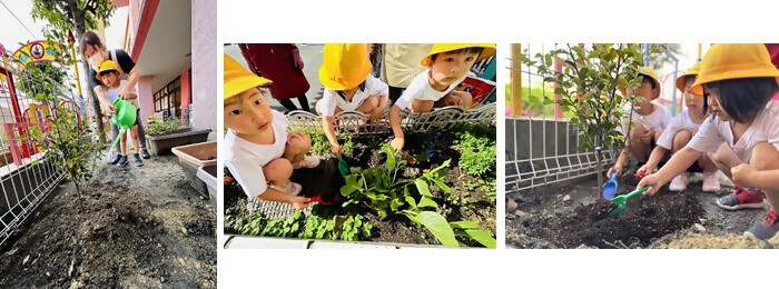 植樹の写真(社会福祉法人親和会親愛保育園)