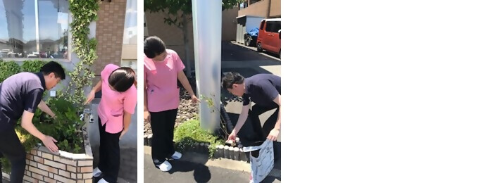 植樹の写真(いとう歯科)