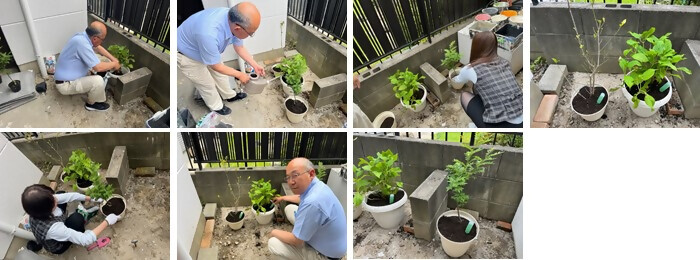 植樹の写真(島崎塗装株式会社)