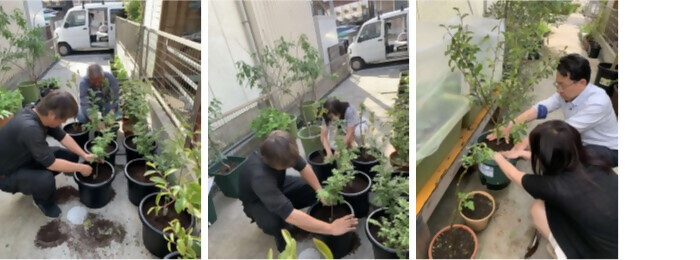 写真:植樹の様子(中日防災株式会社、株式会社中日イーシー、シンリツテクノ株式会社)