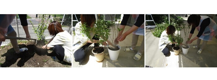 写真:植樹の様子(詩織保育園)