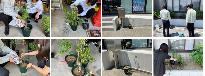 植樹の写真(株式会社大増コンサルタンツ)