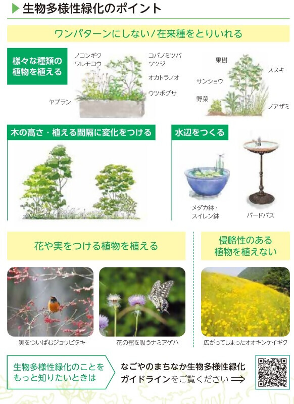 イラスト：生物多様性に配慮した緑化