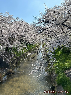 写真：「堀川」