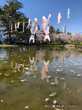 写真：「中村公園」