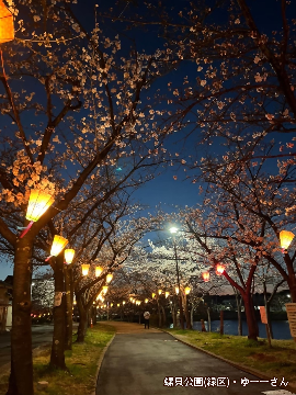 写真：「螺貝公園」