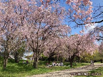 写真：「平和公園」