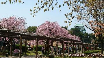 写真：「名城公園」