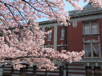 写真：市政資料館