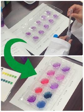 写真：8月1日「何色に変化する？雨の汚れ」