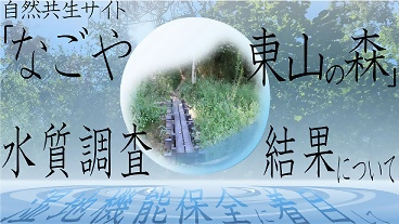 動画サムネイル：自然共生サイト「なごや東山の森」での水質調査結果について