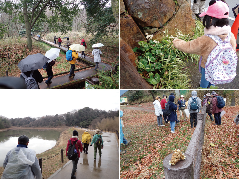 写真:散策会当日の様子