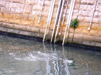 写真:エアレーション施設