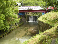 写真:堀川浄化の社会実験