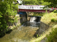 写真:堀川浄化の社会実験