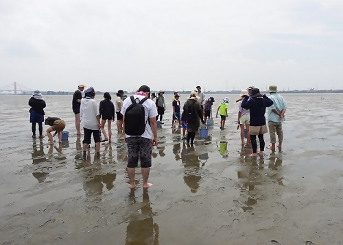 写真:藤前干潟保全活動体験の様子