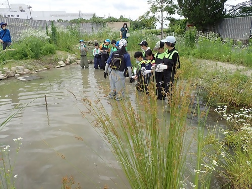 写真:ビオトープを活用した講座の様子