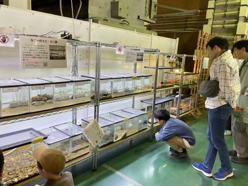 写真：水槽展示の様子