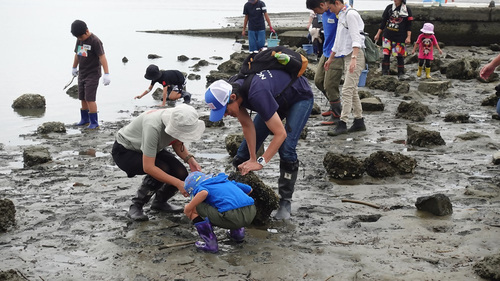 写真：藤前干潟生き物観察の様子