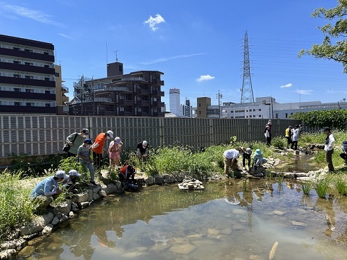 写真:ビオトープの観察会の様子