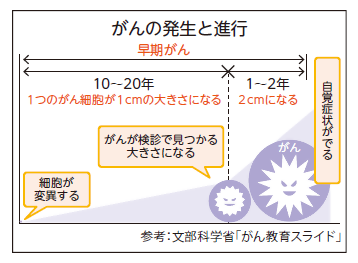 イラスト：がんの発生と進行について説明