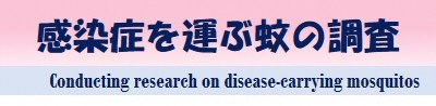 感染症を運ぶ蚊の調査 Conducting research on disease-carrying mosquitos