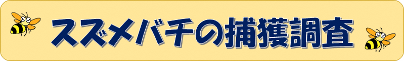 イラスト:スズメバチの捕獲調査