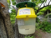 スズメバチ捕獲用トラップの写真です。