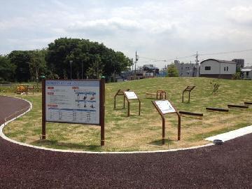 写真：体力測定器具