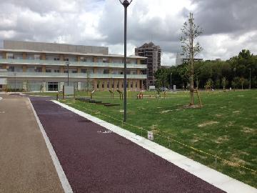 写真：ウォーキングコース