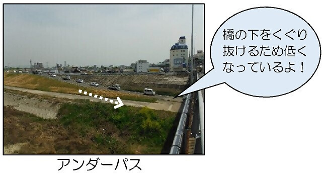 写真:アンダーパス 橋の下をくぐり抜けるため低くなっているよ!