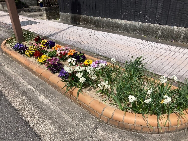 写真:花壇のようすその1